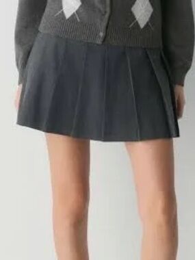 Aritzia Sunday Best Dark Gray Pleated Mini Skirt Olive Micro Pleated Skirt 1793